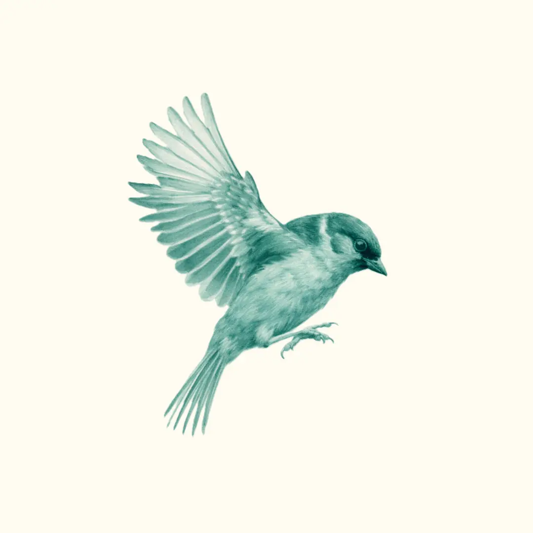 ActuaPlan update cover image